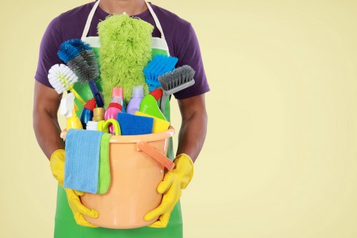 Accessibility illustration for Carpet Cleaners W4 service page