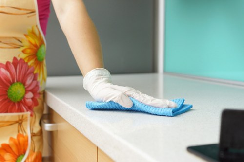 Professional sofa cleaning service in W4 for local homes