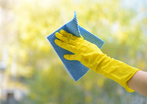Regular cleaning service for a W4 home with weekly housekeeping tasks