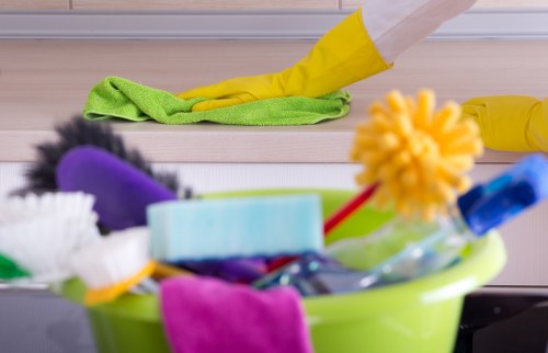 Professional stain removal service for carpets and upholstery in W4 homes