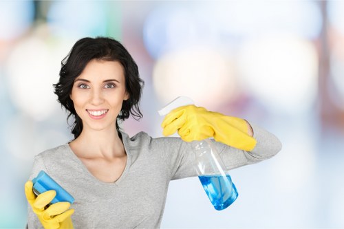 Residential and commercial oven cleaning across W4