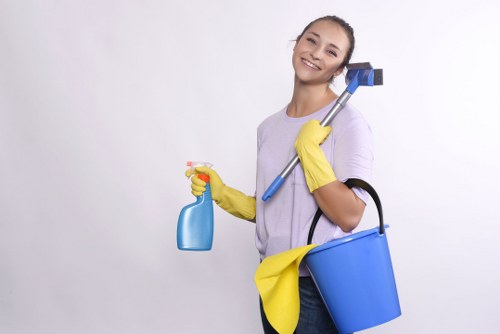 Local window cleaning for flats and apartments in W4