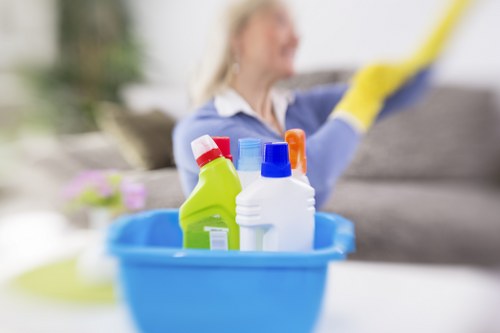 Odour removal treatment for a mattress after a pet accident