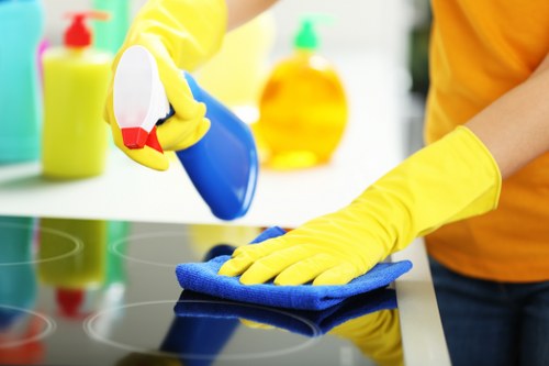 Careful on-site curtain cleaning in a W4 property