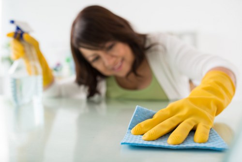 Professional carpet cleaning liability and care
